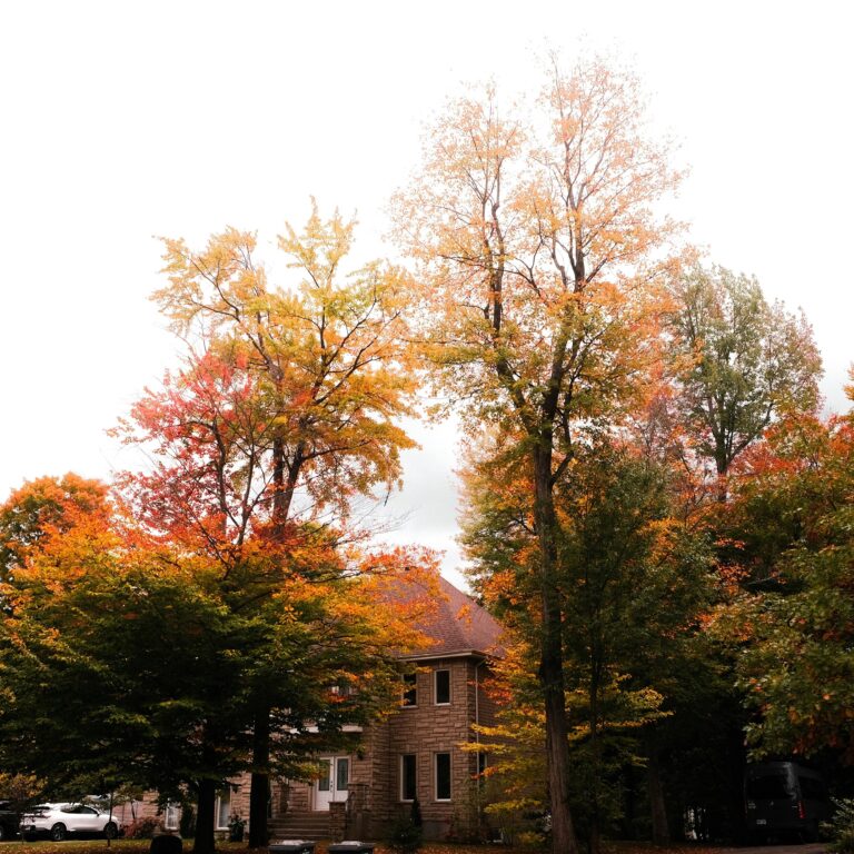 Fall House